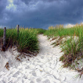 Sand Dune under Storm by Olivier Le Queinec