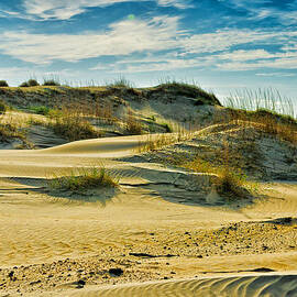 Sand Dunes by Louis Dallara