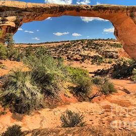 Sandstone Splendor by Adam Jewell