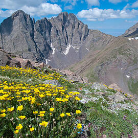 Sangre de Cristos Crestone Peak and Wildflowers by Cascade Colors