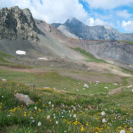Sangre de Cristos Meadow and Mountains by Cascade Colors