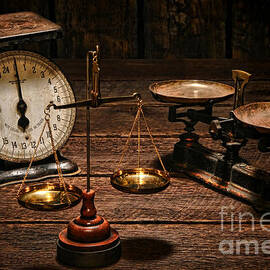 Scales by Olivier Le Queinec