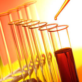 Scientific Experiment in Science Research Lab by Science Research Lab