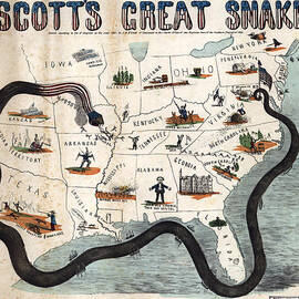 Scotts Great Snake by Georgia Clare