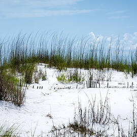 Seaside Fenceline by David Morefield