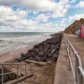 Seaside Stroll by Shirley Mitchell