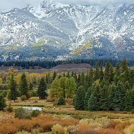 Seasonal Transition by Kirk Lougheed