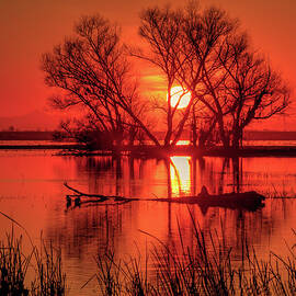 Setting Sun by Beth Sargent