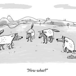 Several Wolves In Sheep's Clothing Converge by Mitra Farmand