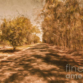 Shadows on Autumn Lane by Jorgo Photography