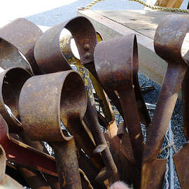 Sheep Shears by Richard Reeve