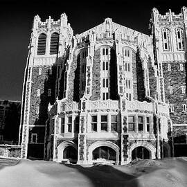 Shepard Hall City College of New York by Georgia Clare