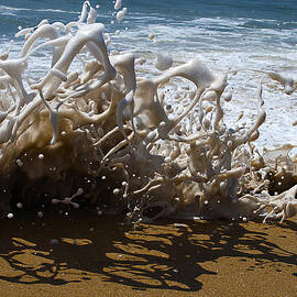Shorebreak - The Wedge by Joe Schofield