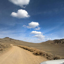 Signals ... Along the Bristlecone Pine Highway, White Mountains, California.  by Joe Schofield