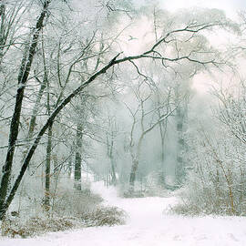 Silence of Winter by Jessica Jenney