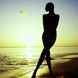 Silhouette Of Marisa Berenson Nude by Arnaud de Rosnay
