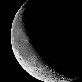 Sing in Silence by AM FineArtPrints