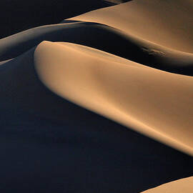 Sinuous Dunes  by Joe Schofield
