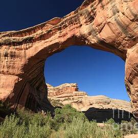 Sipapu Natural Bridge by Adam Jewell