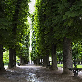 Sit Awhile  by Georgia Clare