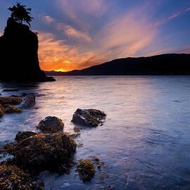Siwash Rock, Vancouver by Alexis Birkill