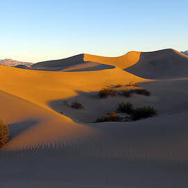 SixFortyFour am April First  Twelve by Joe Schofield