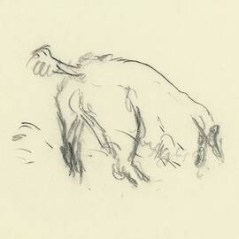 Sketch Of A Dog Digging A Hole by Carl Oscar August Erickson