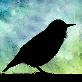 Sky Bound by Georgia Clare