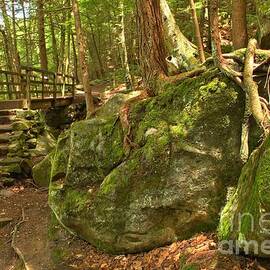Slippery Rock Creek Bridge by Adam Jewell