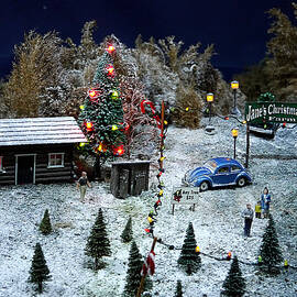 Small World - Jane's Christmas Trees by Richard Reeve