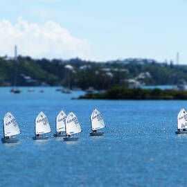 Small World - Flotilla by Richard Reeve