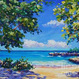 Smith Cove by John Clark