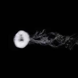 do cigarettes have sugar in them What does sugar have in common with cigarettes?