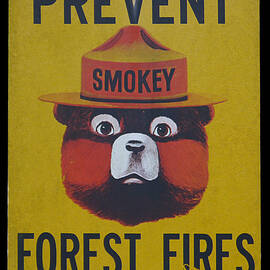 Smokey Says - Prevent Forest Fires by Richard Reeve