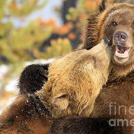 Smooch by Adam Jewell