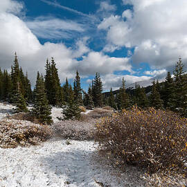 Snow and Cloud Symmetry by Cascade Colors