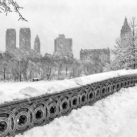 Snow In Central Park NYC by Susan Candelario