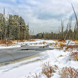 Snow on Roberts Branch by Louis Dallara