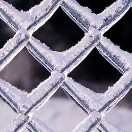 Snowcapped Fence by Kelley King