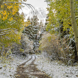 Snowy Road in Fall