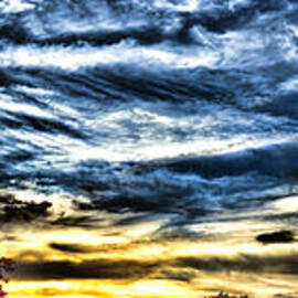 Somewhere on Earth by Olivier Le Queinec