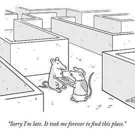 Sorry I'm Late. It Took Me Forever To Find This by Ellis Rosen