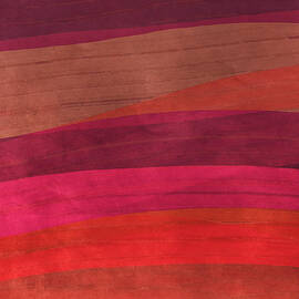 Southwestern Sunset Abstract by Bonnie Bruno