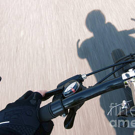 Speed by Olivier Le Queinec