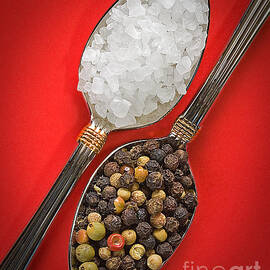 Spoonfuls of Salt and Pepper by Susan Candelario