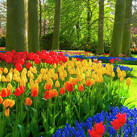 Spring Flowers In A Park by Jacobh
