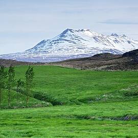Springtime In Akureyri by Kirk Lougheed
