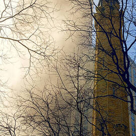 Springtime in Chicago by Steven Sparks