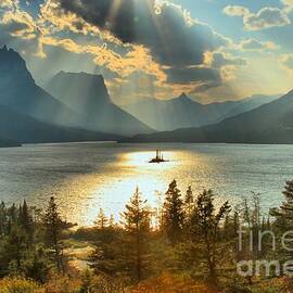 St Mary Spotlight by Adam Jewell