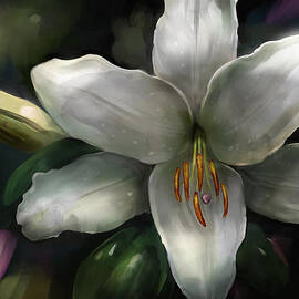 Stargazer by Steve Goad